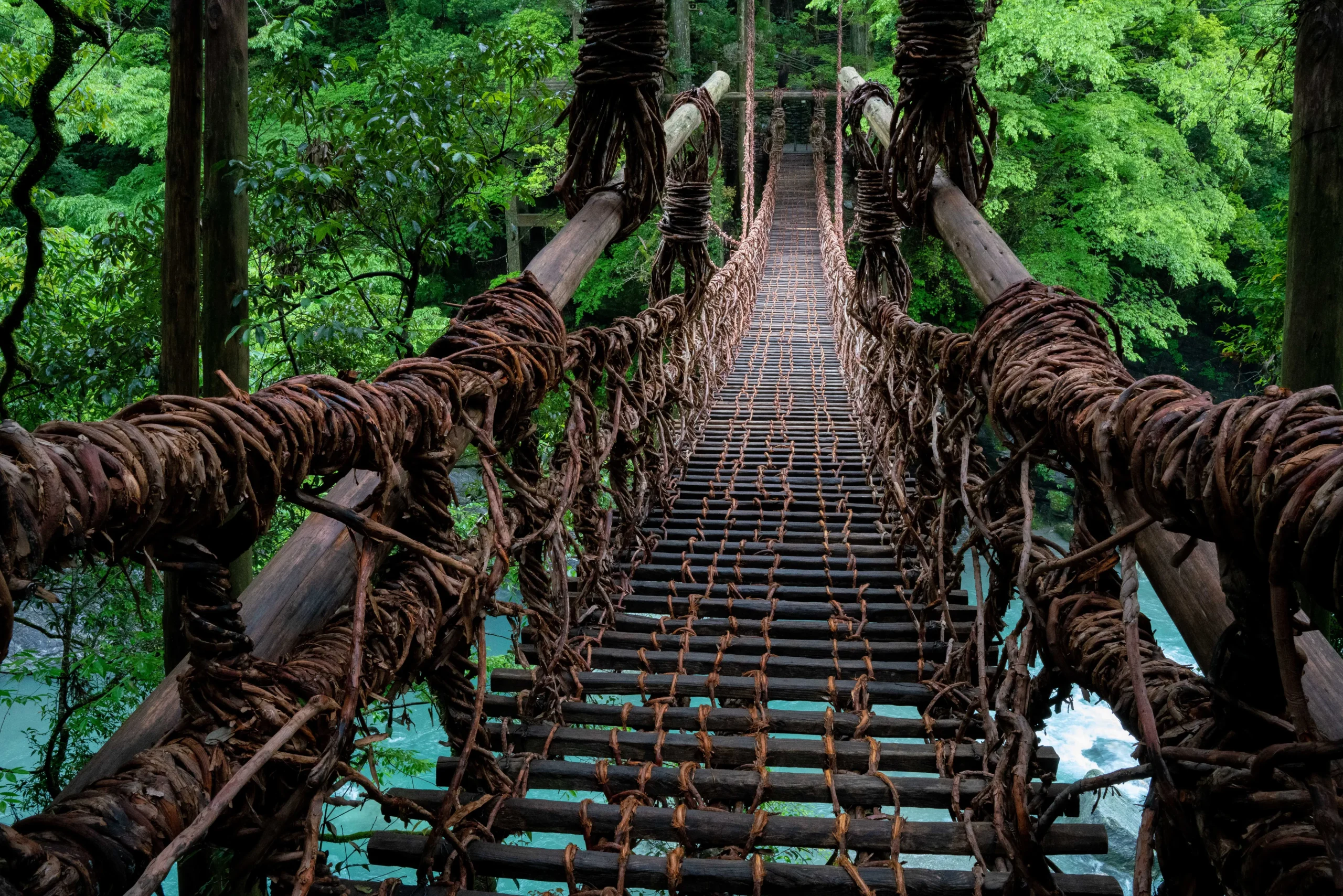 祖谷のかずら橋 - シラクチカズラで編まれた吊り橋