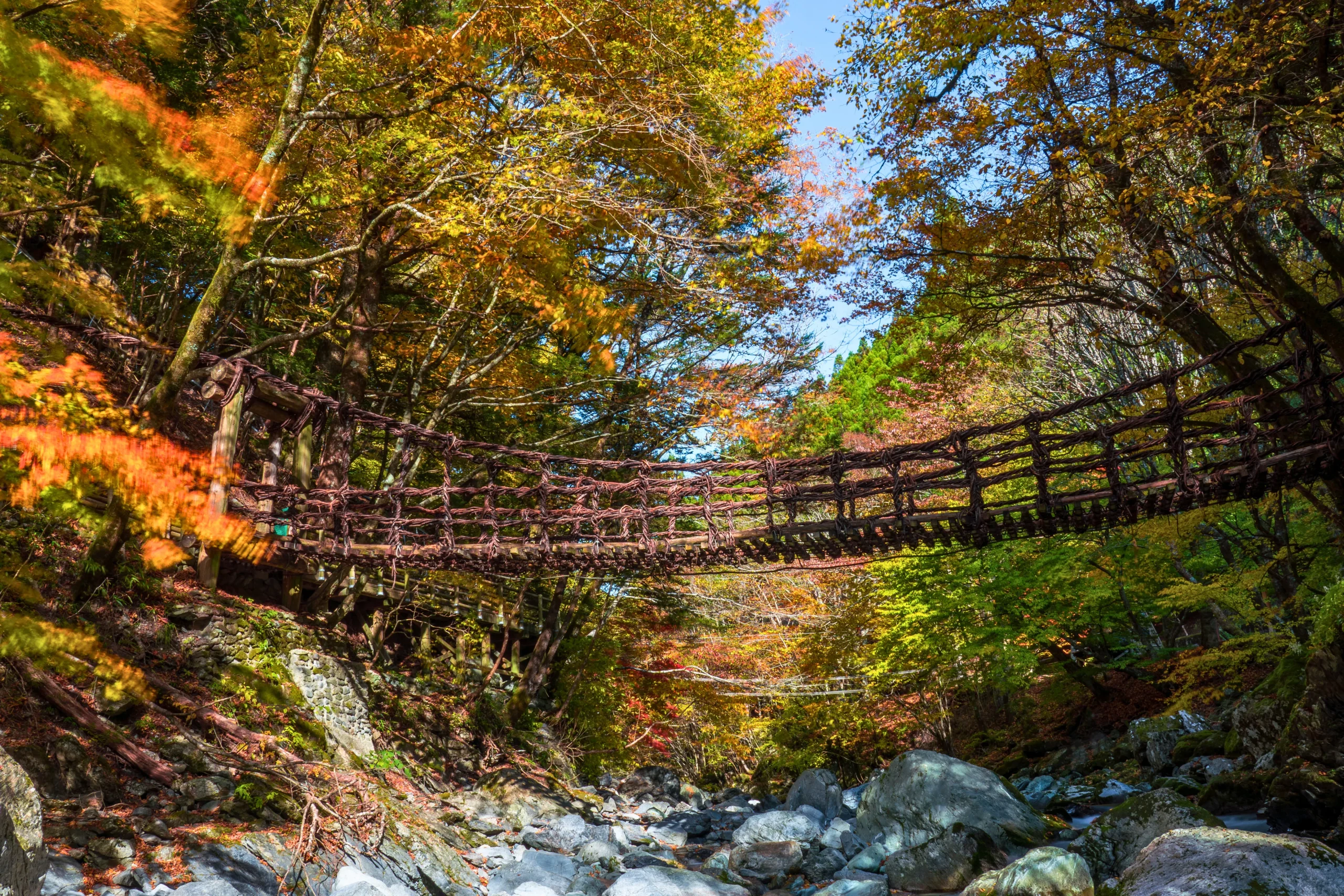 奥祖谷二重かずら橋
