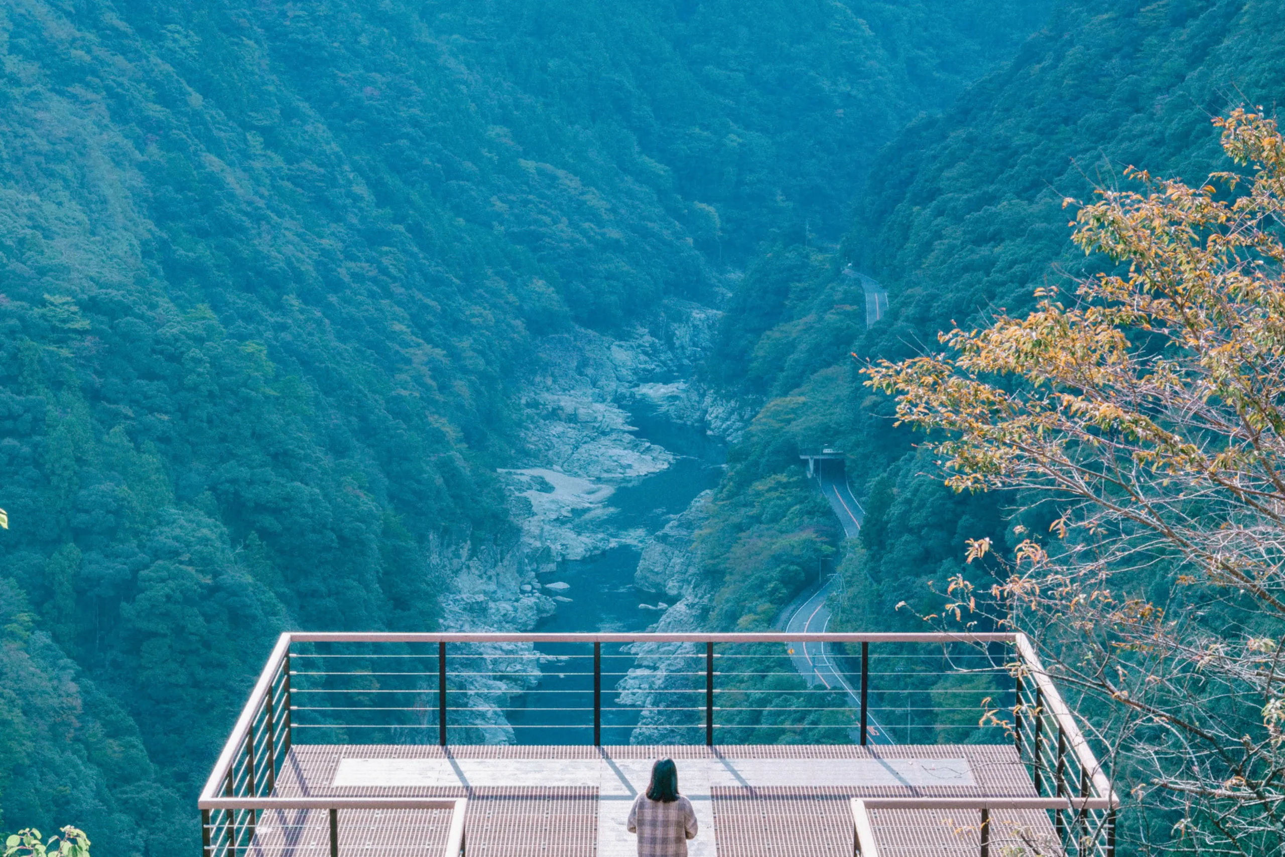 大歩危峡の渓谷美