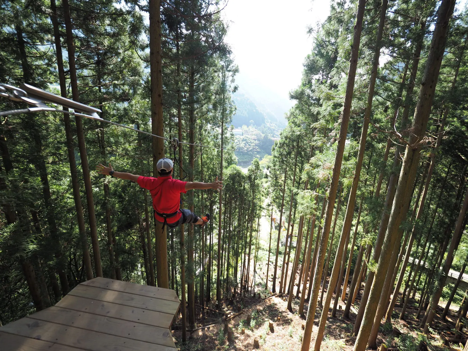 フォレストアドベンチャー祖谷